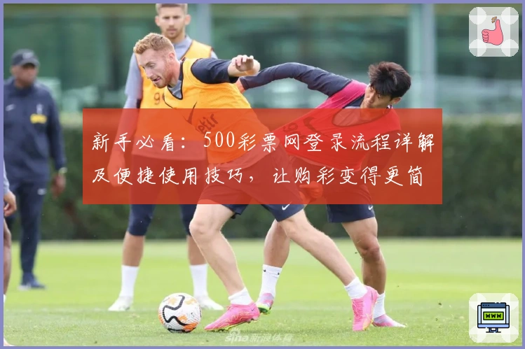 新手必看：500彩票网登录流程详解及便捷使用技巧，让购彩变得更简单
