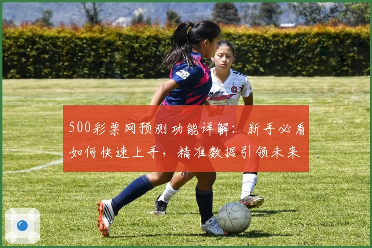 500彩票网预测功能详解：新手必看如何快速上手，精准数据引领未来趋势