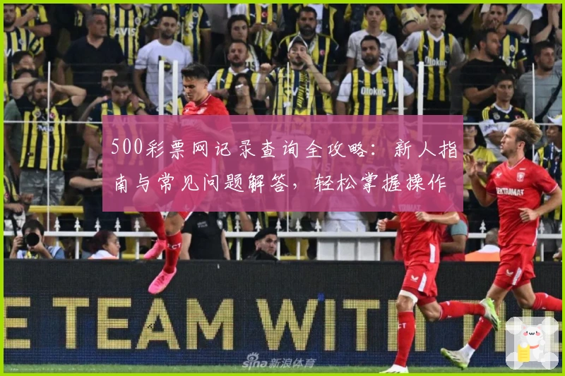 500彩票网记录查询全攻略：新人指南与常见问题解答，轻松掌握操作技巧
