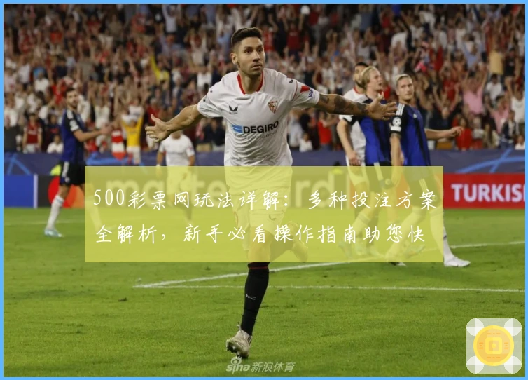 500彩票网玩法详解：多种投注方案全解析，新手必看操作指南助您快速上手